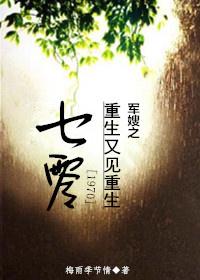 七零军嫂之重生又见重生 (梅雨季节情)