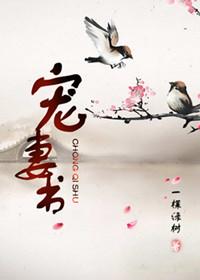 宠妻书男主是谁