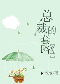 总裁套路我