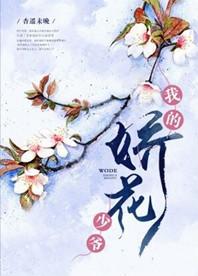 我的娇花少爷无防盗的