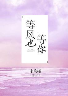 等风也等你八斤蜜柑免费阅读