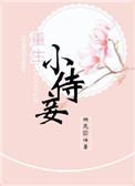 重生之小侍妾