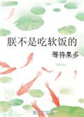 朕也想吃软饭