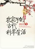农家子的古代科举生活讲的什么