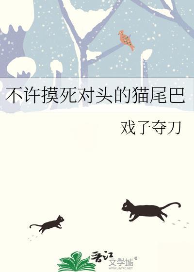 不许摸死对头的猫尾巴TXT