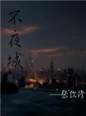 不夜城主演