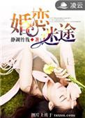婚姻迷途txt
