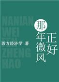 那年微风正好完结了吗