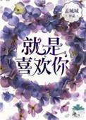 就是喜欢你数字表达