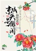 京城头号绯闻TXT百度