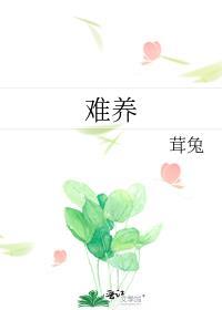 金钻罗汉松为什么难养
