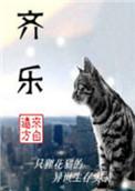 齐乐容容的意思