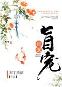 盲宠全文免费阅读