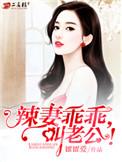 辣妻难追神秘老公太闷骚