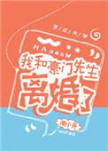我和豪门先生离婚了txt评论