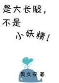 书名是大长腿不是小妖精 作者凤久安