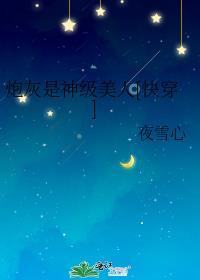 时间暂停以后我为所欲为(无限)85