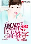 陆少离婚请签字