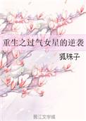 重生之过气小明星