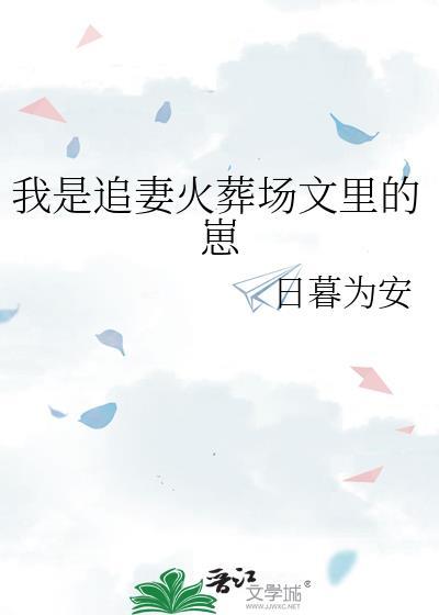 追妻火葬场作者