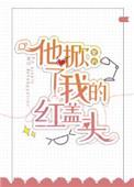 他掀了我的红盖头 作者紫矜