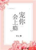 宠你会上瘾无重复