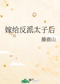 嫁给反派太子后 藤鹿山