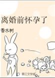 离婚前怀孕了by香水树推文