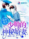 少帅的烽火娇妻2