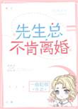 先生总不肯离婚讲的什么