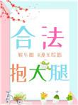合法抱大腿 百度