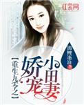 重生九零之小娇媳