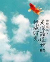 路过你的倾城时光