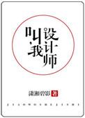 叫我设计师txt书包网