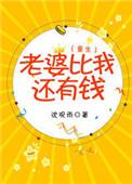 老婆比我还有钱免费阅读