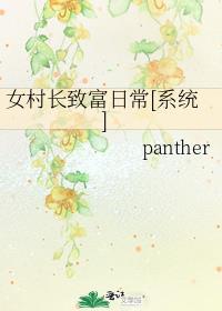 电视连续剧女村长