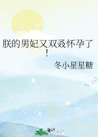 朕的男宠又双叒怀孕了!
