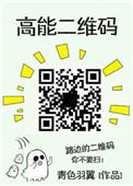 高能二维码番外全txt