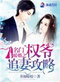 免费阅读名门暖婚之权爷追妻攻略