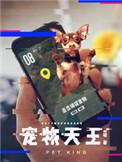 宠物天王百度百科女主