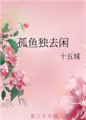 孤云独去闲的意思是什么?