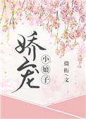 娇宠小娘子全文免费