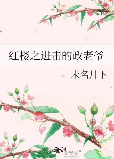穿越之红楼贾政