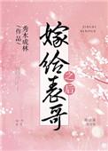嫁给表哥之后txt百度资源