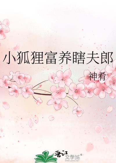 小狐狸富养瞎夫郎by