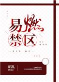 易燃禁区免费阅读TXT