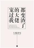 宠过我的大佬都变渣了讲的什么