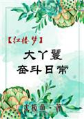 红楼大丫鬟求生