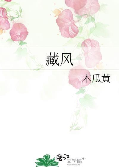 藏风得水