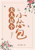 夫人是个小公主阅读页